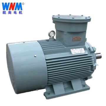 Wannan motor _YB series high voltage flameproof three-phase asynchronous motor