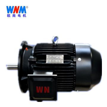 皖南电机_YE3/YX3-160~315铸铁机座多级泵系列电机